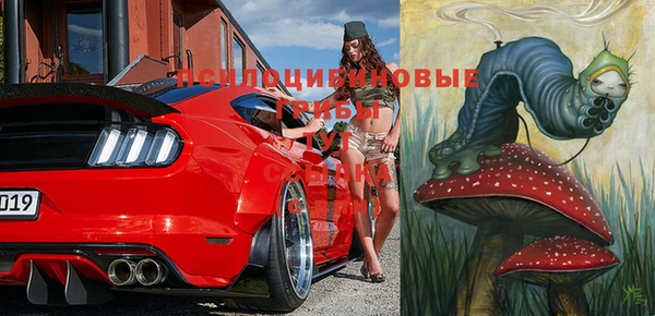кокс Алексин