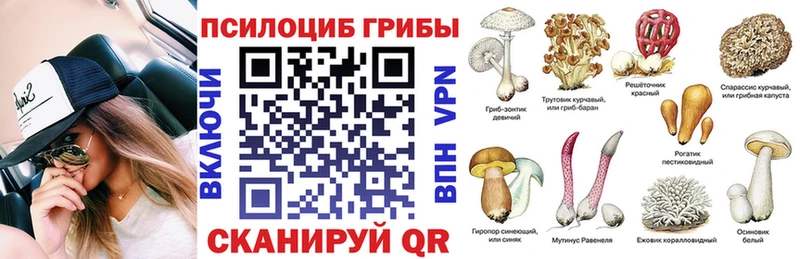 что такое   Удачный  Галлюциногенные грибы Cubensis 