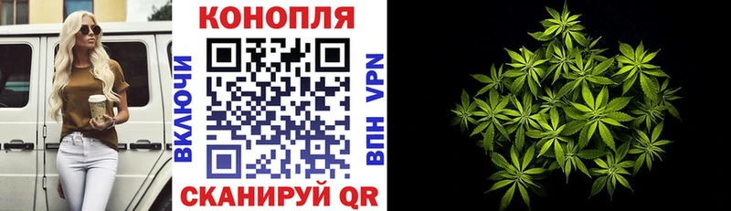 где продают наркотики Удачный Шишки марихуана планчик